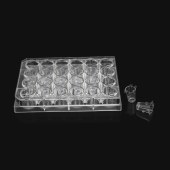LABSELECT 14347 细胞侵袭小室,含24孔板(基质胶包被,PET膜,6.5mm,孔径8.0um)