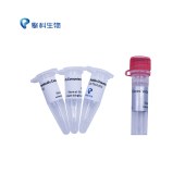 TSINGKE TSC0102 Stable Chemically Competent Cell