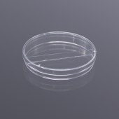Biosharp BS-90-D2 90*15mm一次性塑料培养皿, 2格14.6g