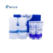 TSINGKE TSE0302 Yeast Direct PCR Kit 酵母直扩试剂盒