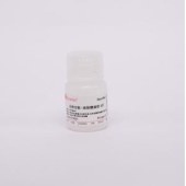 Solarbio P2020 谷胱甘肽-琼脂糖凝胶 4B（GST 标签纯化树脂）