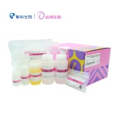 达领 DLN801 Trelief DNA Gel Extraction Kit（safe & convenient）