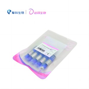 达领 DLP101 T5通用型快速PCR预混液