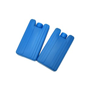 Mastergen ME05330 转印电泳槽蓝冰冰盒