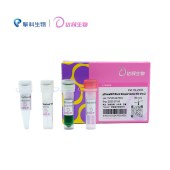达领生物 DLV101 pClone007 平末端TA克隆试剂盒