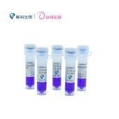TSINGKE TSE008-100 2×T5 Super PCR Mix（Basic）