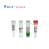 达领生物 DLV101 pClone007 平末端TA克隆试剂盒