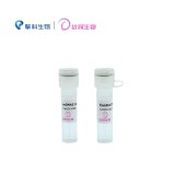 达领 DLV302 pcDNA3.1克隆构建试剂盒