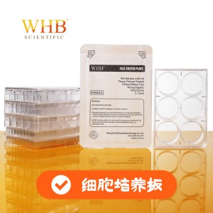WHB WHB-24 TC处理透明24孔细胞培养板，吸塑盒，灭菌