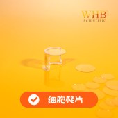 WHB WHB-6-CS-24 TC处理6孔板方形细胞爬片（□ 24*24mm），灭菌