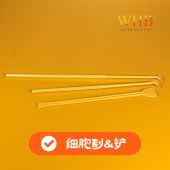 WHB WHB-C21 双头细胞铲刀，柄长21cm，纸塑袋装，灭菌