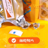 WHB WHB-6-CS-24 TC处理6孔板方形细胞爬片（□ 24*24mm），灭菌