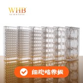 WHB WHB-96 TC处理透明96孔细胞培养板，吸塑盒，灭菌