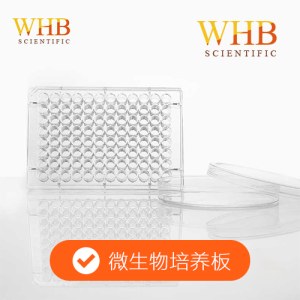 WHB WHB-48-PD1 透明48孔培养板，平底袋装（微生物培养板），灭菌
