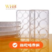 WHB WHB-12 TC处理透明12孔细胞培养板，吸塑盒，灭菌