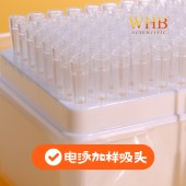 WHB WHB-RES-200-R 200ul电泳加样吸头，盒装