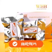 WHB WHB-96-CS TC处理96孔板圆形细胞爬片（Φ3mm），灭菌