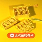 WHB WHB-24-VCS-LC 多聚赖氨酸24孔板立式圆形细胞爬片（Φ14mm），灭菌