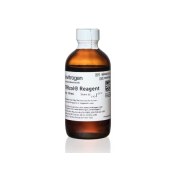 Invitrogen 15596-026CN TRIzol Reagent