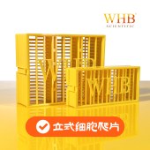 WHB WHB-6-VCS-LC 多聚赖氨酸6孔板立式圆形细胞爬片（Φ24mm），灭菌