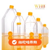 WHB WHB-CCF150 TC处理150cm²细胞培养瓶，600ml，密封盖，灭菌