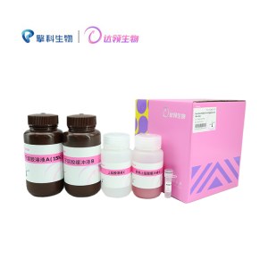 达领 DLW201-05 Stain-Free PAGE Gel Fast Preparation Kit(One-Step)  15%