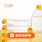 WHB WHB-CCF75-1 TC处理75cm²培养瓶，250ml，透气盖，灭菌