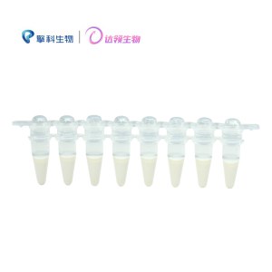达领 DZC101-8A100 Trelief ® 5α感受态细胞
