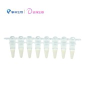 达领 DZC101-8A100 Trelief ® 5α感受态细胞