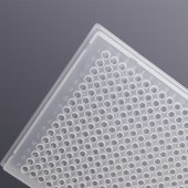 LABSELECT PP-384-FS-0040 384孔40ul全裙边PCR板,A24/P24切角,透明管
