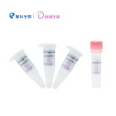 达领 DLC102 DL-Turbo感受态细胞