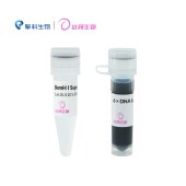 达领 DLS101-500 DL-Onetube BamH I快速酶切预混液