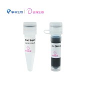 达领 DLS116-30 DL-Onetube Nco I 快速酶切预混液