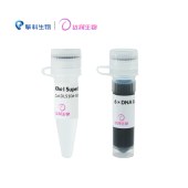 达领 DLS106-500 DL-Onetube Xho I 快速酶切预混液