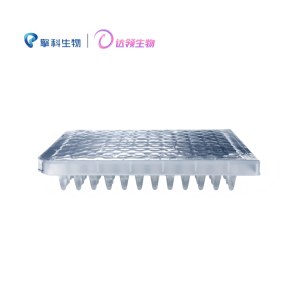 达领 DZC101-96A100 Trelief ® 5α感受态细胞