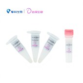 达领 DLC104 DL-DH10Bac感受态细胞