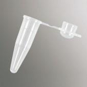 Axygen PCR-02D-C 0.2ml鼓盖薄壁管