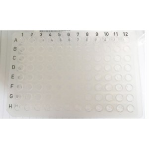 Axygen PCR-96-FLT-C 0.2ml透明无裙边96孔PCR板