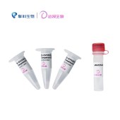 达领 DLC304 DL-GV3101 (pSoup) Chemically Competent Cell