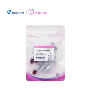 达领 DLP102 2×T5 Super PCR Mix (Colony)