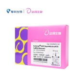 达领 DLR101 SynScript Ⅲ RT Super Mix for qPCR (+gDNA Remover)