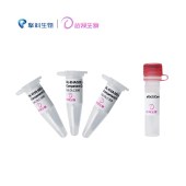 达领 DLC308 DL-EHA105 (pSoup-p19) Chemically Competent Cell