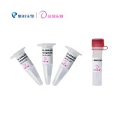 达领 DLC307 DL-EHA105 (pSoup) Chemically Competent Cell