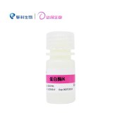 达领 DZO701 蛋白酶K