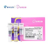 达领 DLR101 SynScript Ⅲ RT Super Mix for qPCR (+gDNA Remover)