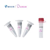 达领 DLC305 DL-GV3101 (pSoup-p19) Chemically Competent Cell