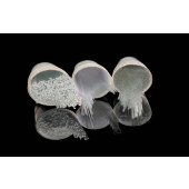 科曼 KM-09100-RD 熔点100mm/0.9-1.1mm 毛细管