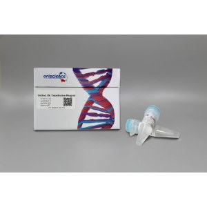 Oriscience CC102 OriFect 3K Transfection Reagent (脂质体转染试剂)