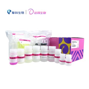 达领 DLN703-10 去内毒素质粒大提试剂盒（增强型）