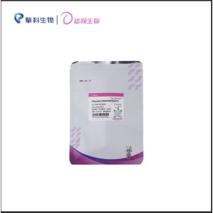 达领 DLH101 TSnanofect RNAi专用转染试剂